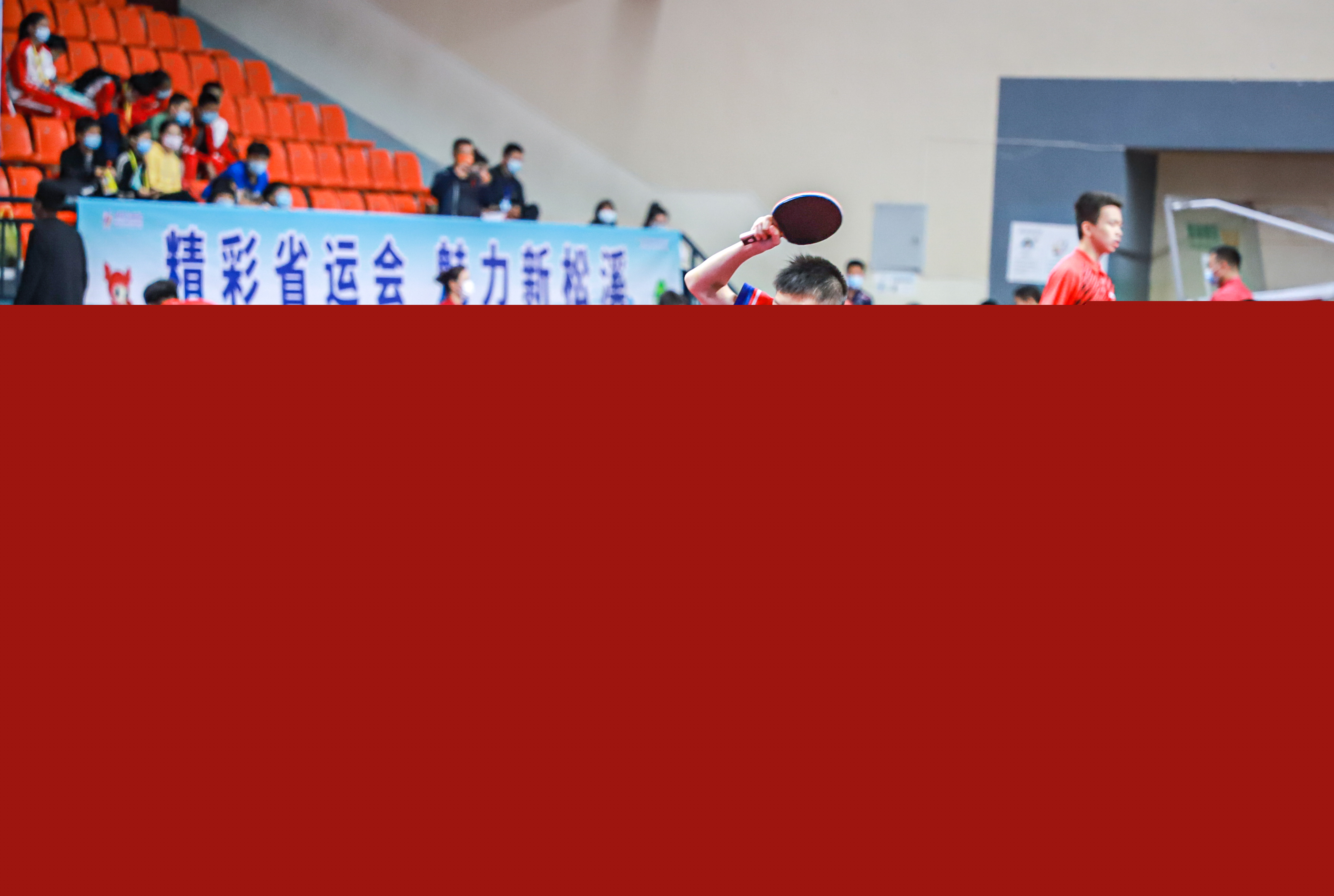 到最适合自 到最适合自